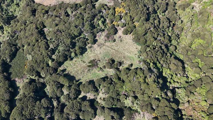 115 Stony Bay Road Akaroa_11