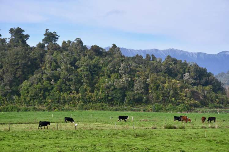 106 Granite Creek Road Karamea_12