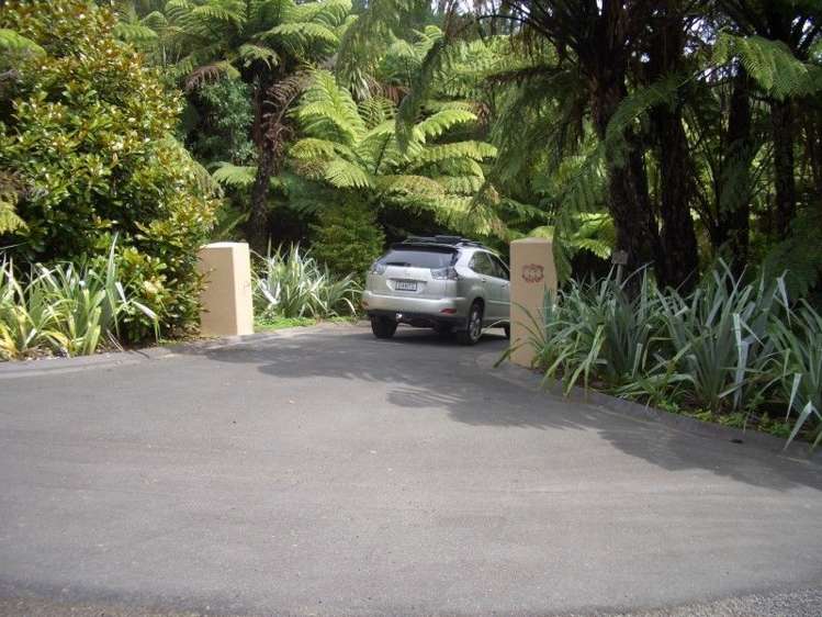 205 Pumpkin Hill Road Pumpkin Hill_11