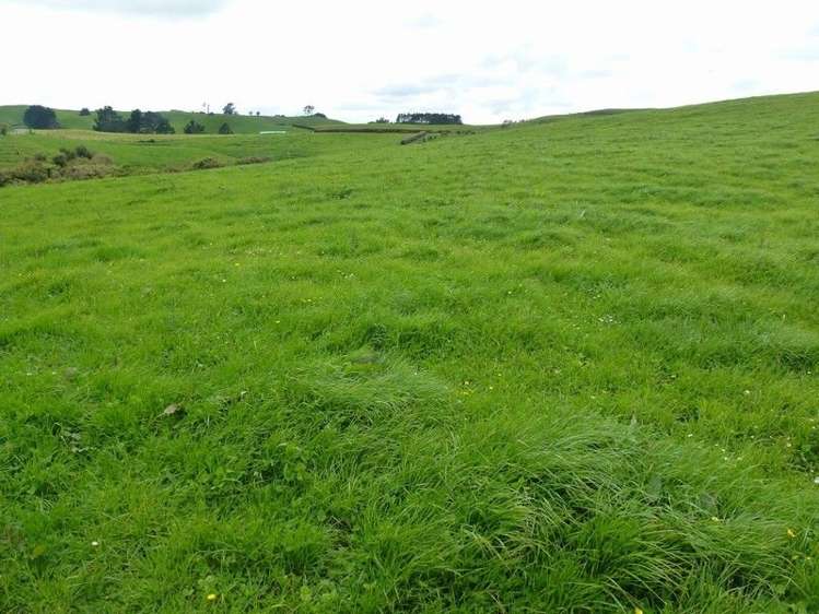 1265 Mountain Road Inglewood_0