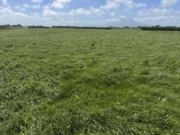 4782 South Road Opunake_14