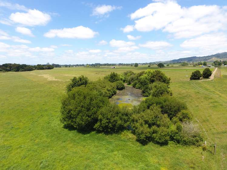 1318 Morrinsville-Tahuna Road Tahuna_14