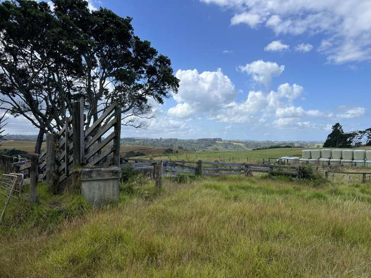 Awhitu Road_5