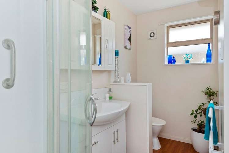 161b Strickland Street Spreydon_9