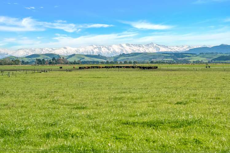 56 Opihi Terrace Road Pleasant Point_6