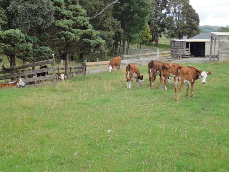 291 Hinemoa Valley Road Pahiatua_14