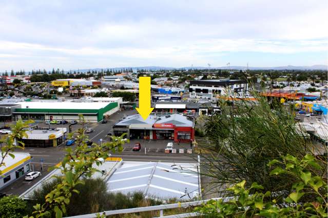 44 Carlyle Street Napier South_1