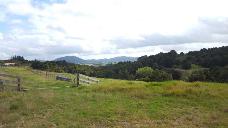 87 Kiwi Lane Kaiwaka_6