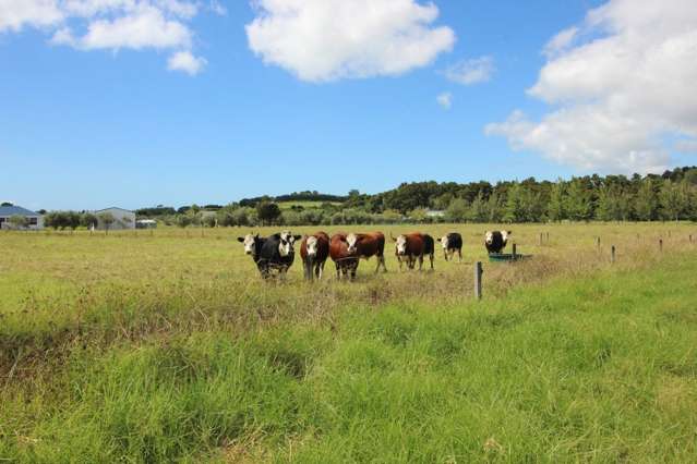 56 Sandford Road Ruakaka_1