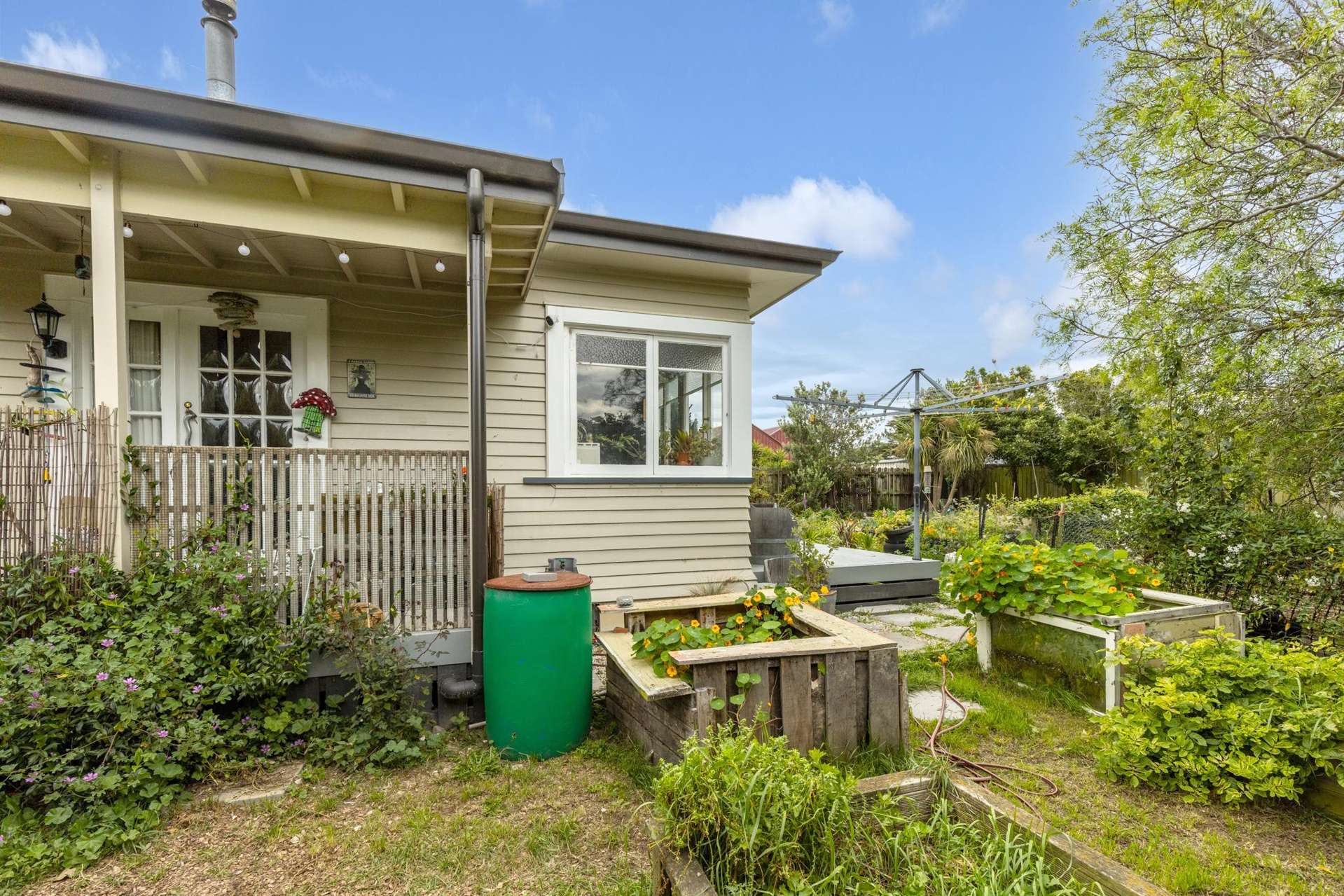 67 Seddon Street Ward_0