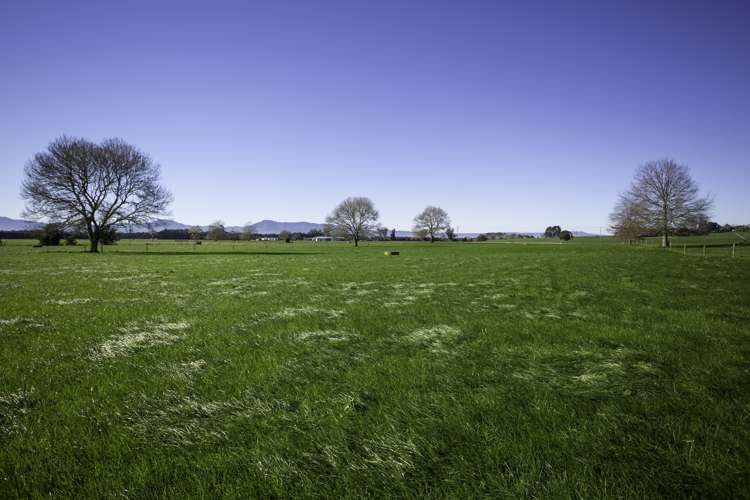 224 Maungakawa Road Ngarua_0