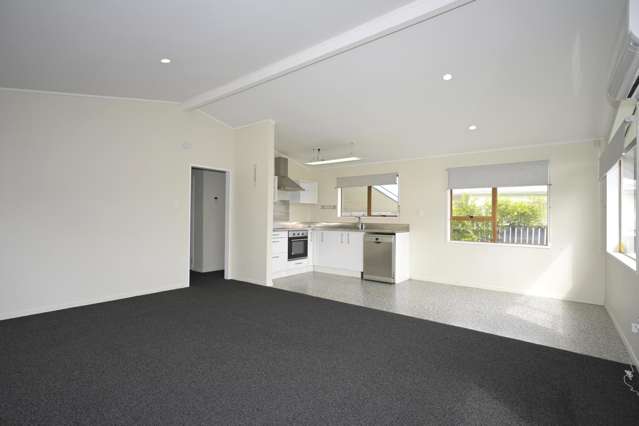 2 Ion Road Kawerau_3