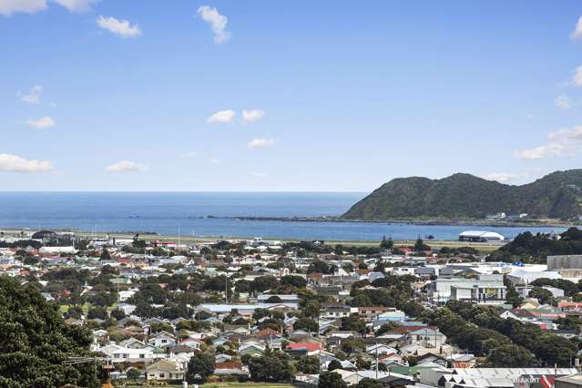 141 Nevay Road Miramar_1