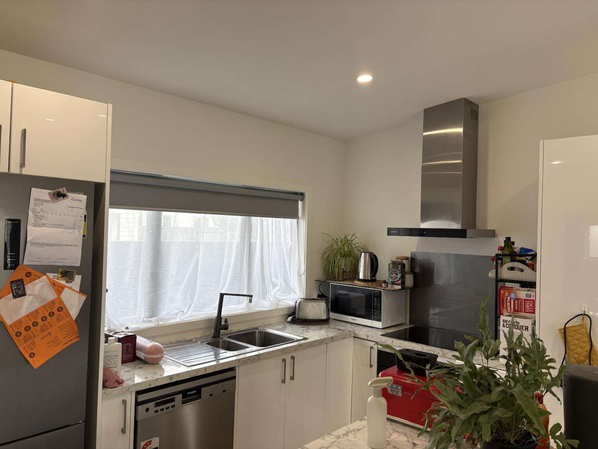 42 Macdonald Street 1052_0