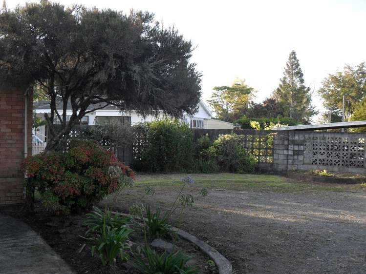 98 Albert Street Hamilton East_6