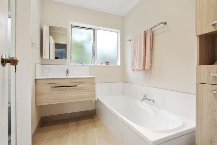 29 Shetland Street Glen Eden_13