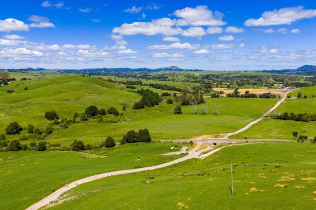 148 Malone Road Kokopu_4