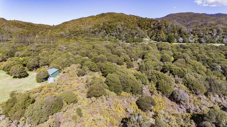 25 Awaroa Bay Awaroa Bay_6