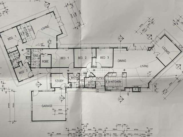 77a Sapphire Street Casebrook_2