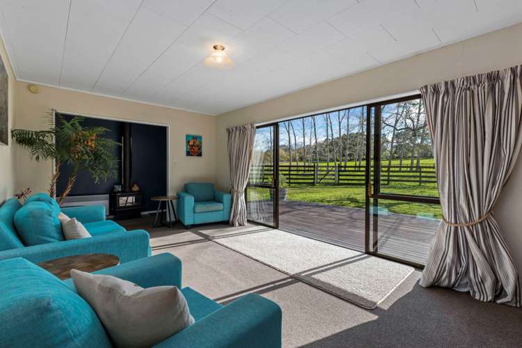 10 Lascelles Drive Dairy Flat_12