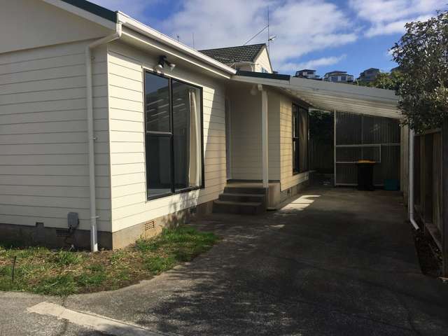 69a Cortina Avenue Johnsonville_1