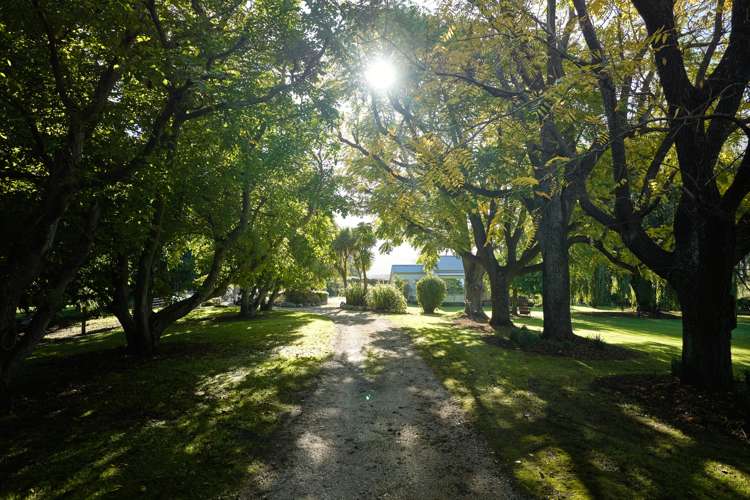 373 State Highway 1 Kaikoura_14