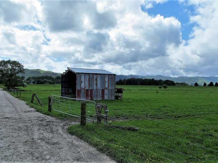 161 Endowment Road Te Aroha_15