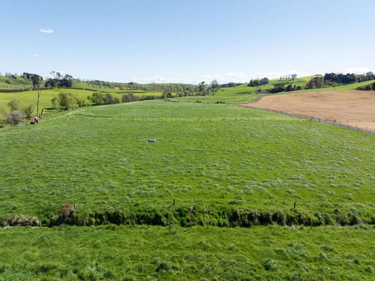 231A Morgan Road Matamata_2