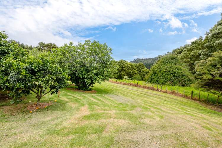 200 Goatley Road Warkworth_32