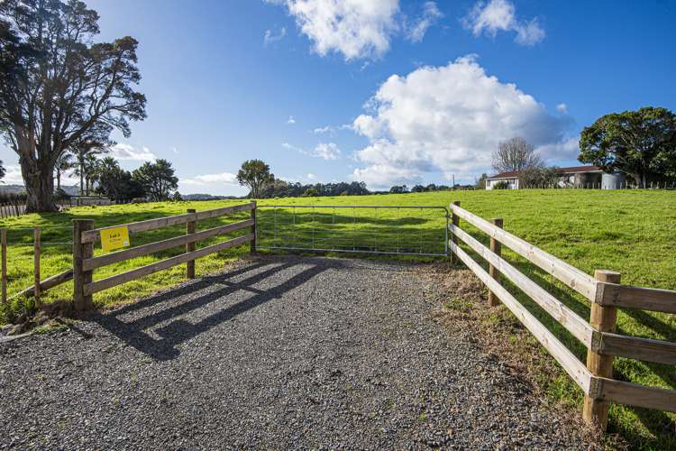 437 Crane Road Kauri_3