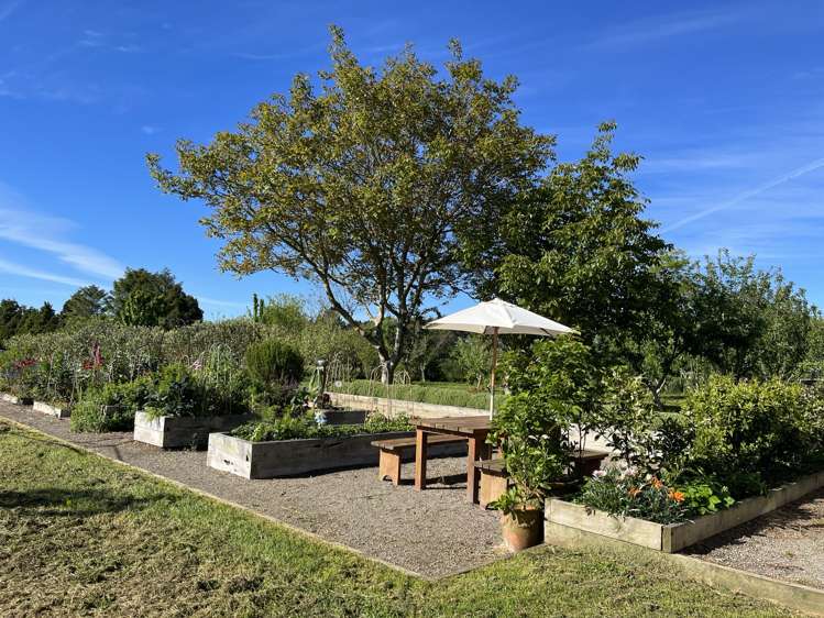 306 Upper Stuart Road Eltham_15