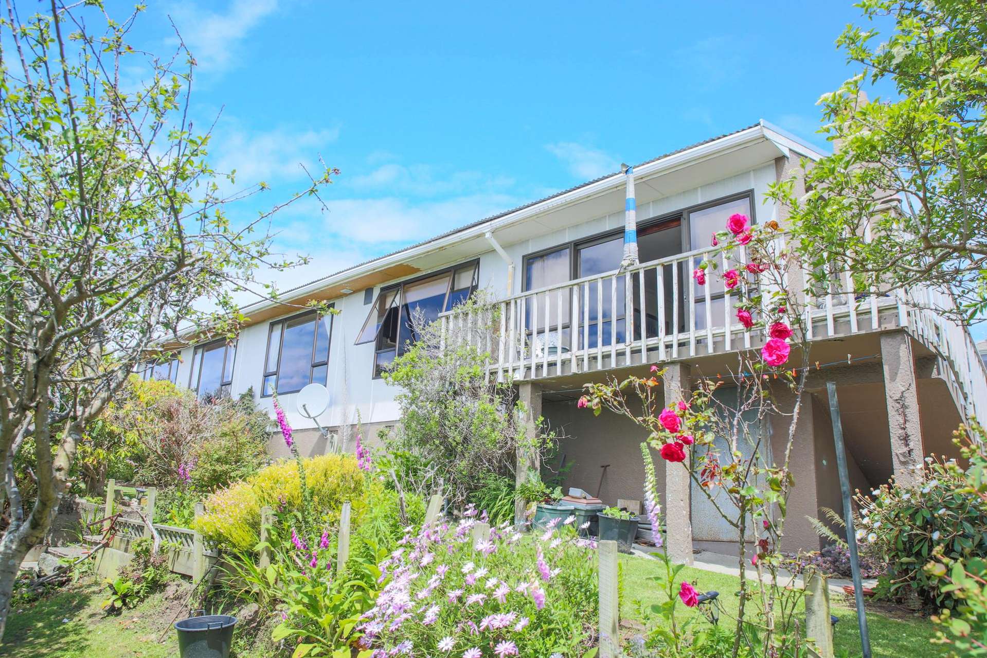 46 Walker Street Bluff_0