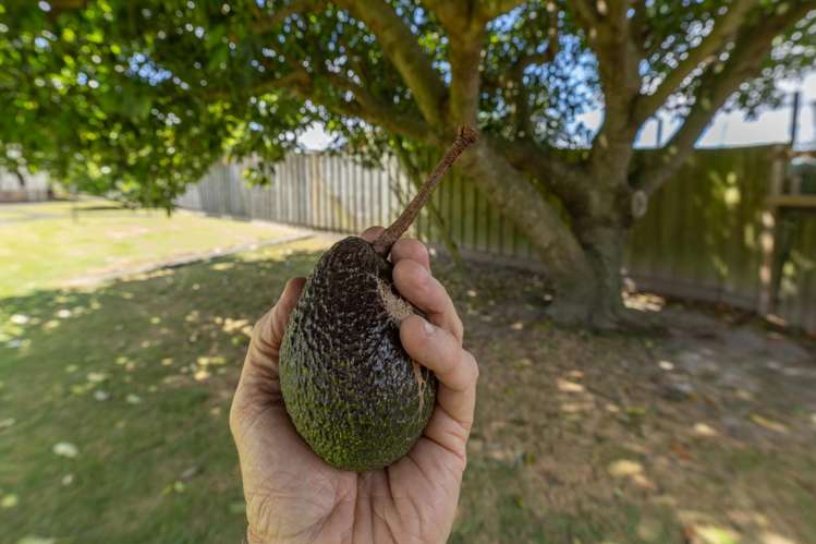 42 Great South Road Huntly_22