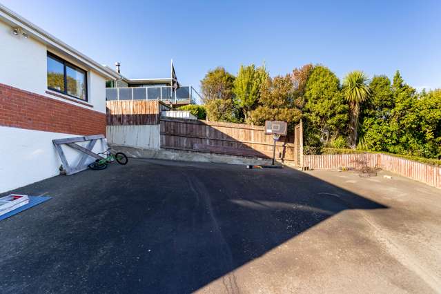 17 Scobie Road Waverley_3