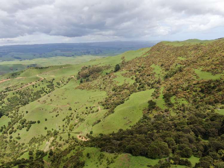 613 Pirongia West Road Oparau_6