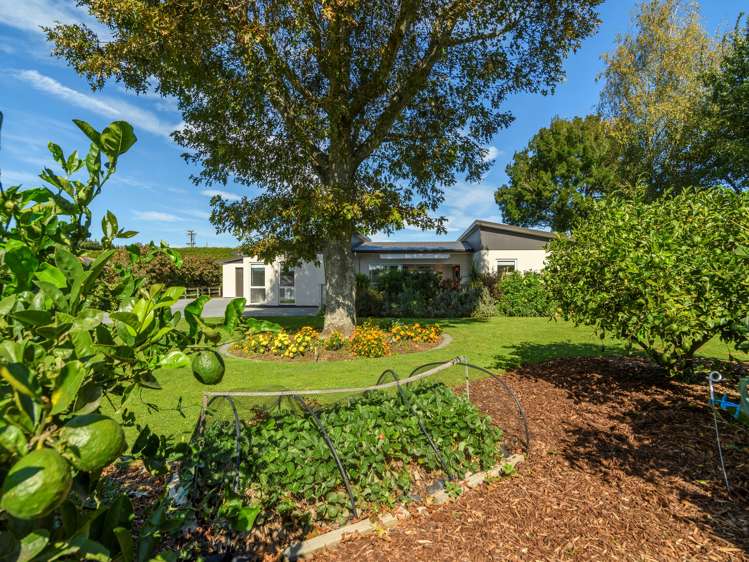 147d Tetley Road Katikati_17