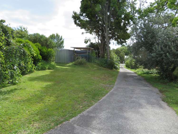 65 Hall Street Kihikihi_19