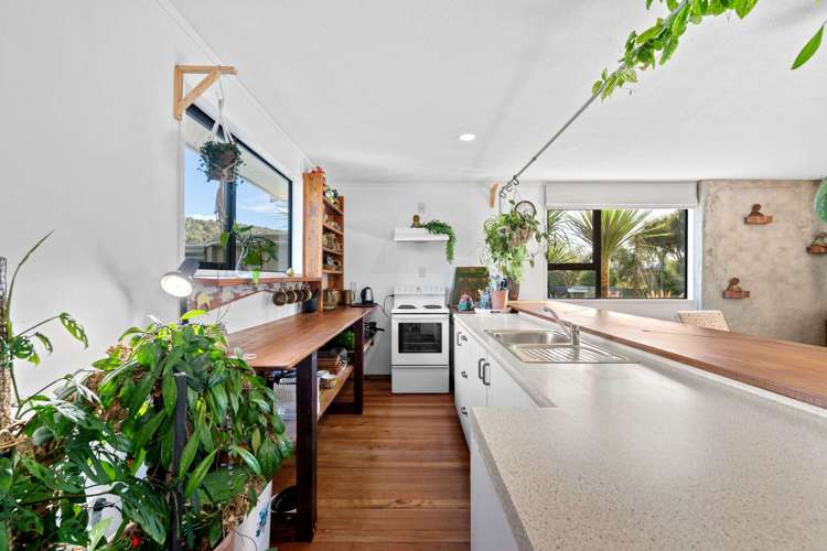 2519 Papatowai Highway Papatowai/Pounawea_12