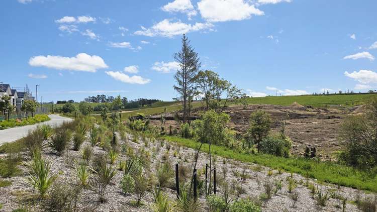 386 Te Taruna Drive Milldale_2