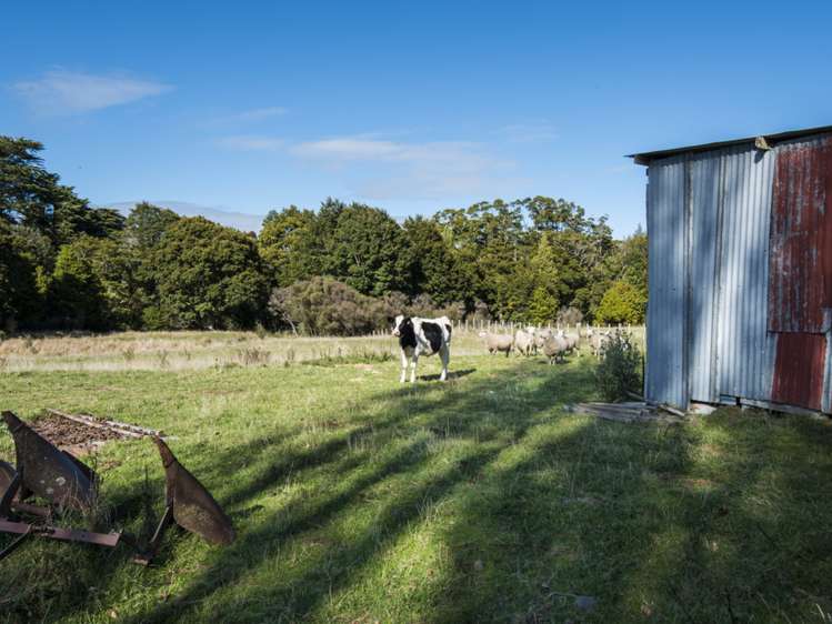 546 Raetihi Ohakune Road Ohakune_16