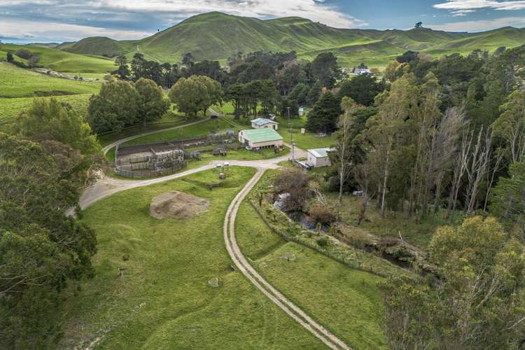 467 Waitahora Valley Road Dannevirke_11