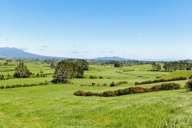 298 King Road Inglewood_1