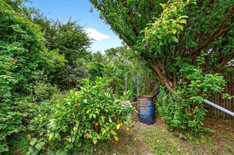 4 Hardie Grove Featherston_11