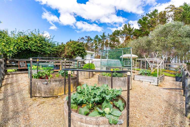 115 Addison Road Pataua South_42