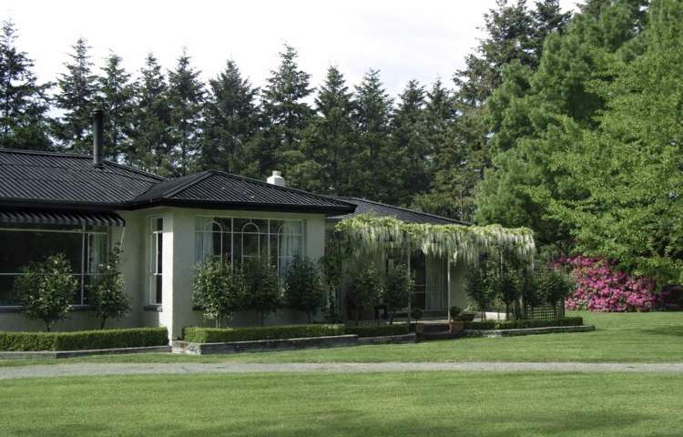 1710 Ealing Montalto Road Ashburton_16