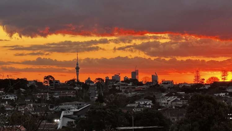 3/65 Long Drive St Heliers_6