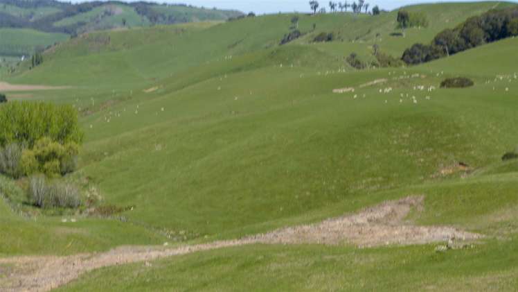 309 Hagen Road Orawia_9