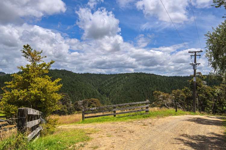 726d Ngunguru Ford Road Kiripaka_9