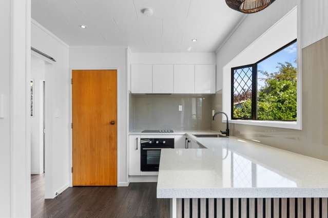 1/42A Songer Street Stoke_3