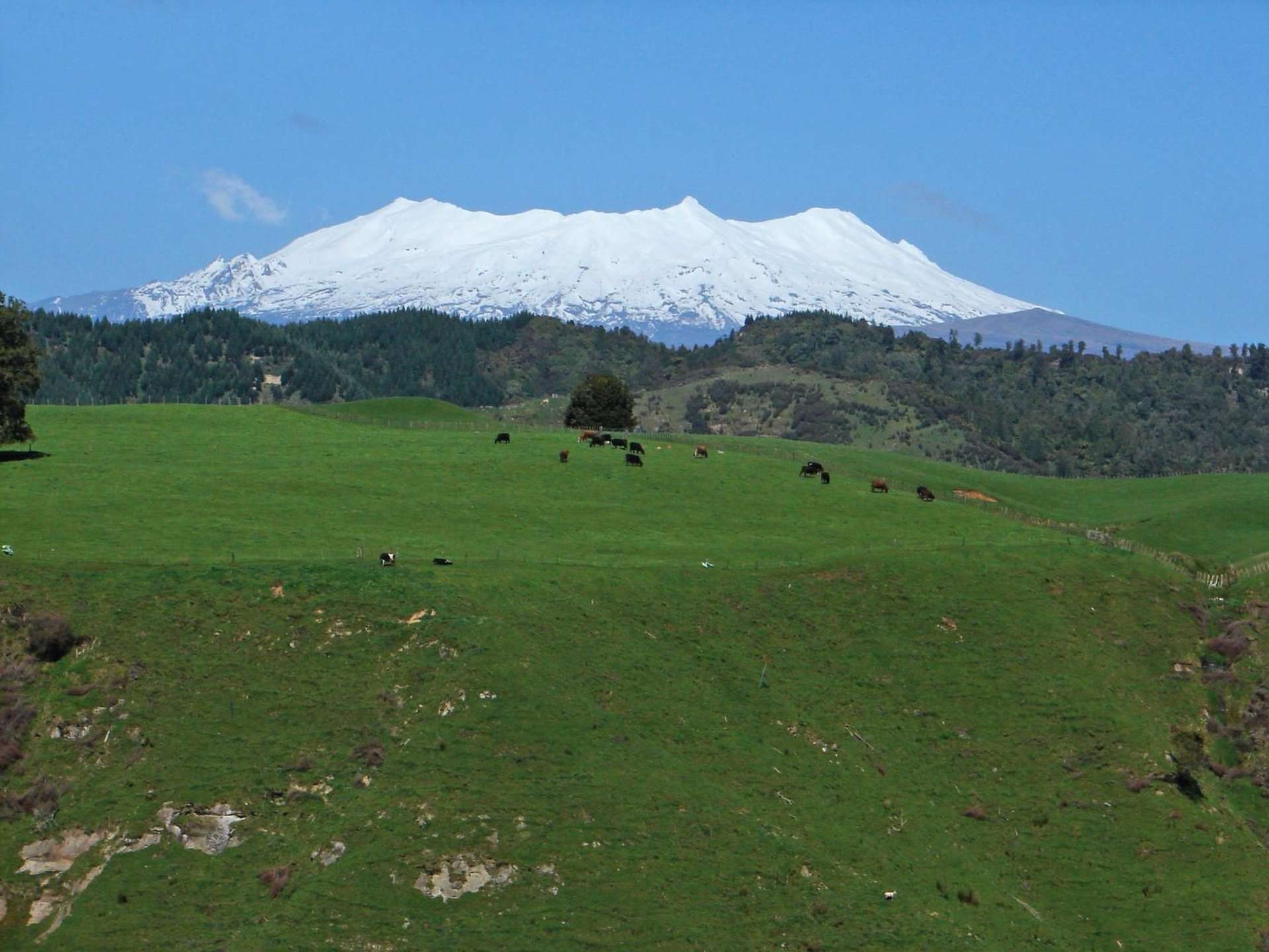 1843 Oio Road Ruapehu-King Country Surrounds_0